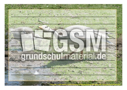 Schmuckrahmen-Streifengans-2.pdf